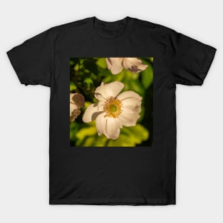 Japanese Anemone on a Sunny Day T-Shirt